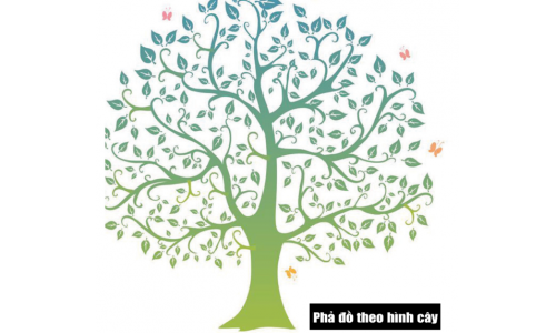 Không dùng đến DNA: - Nhờ đâu người Việt tìm ra gốc gác dòng họ?