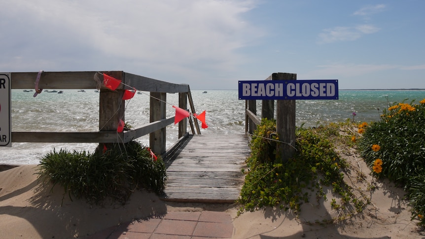 Xói mòn bãi biển đe dọa hoạt động kinh doanh du lịch ở Limestone Coast.