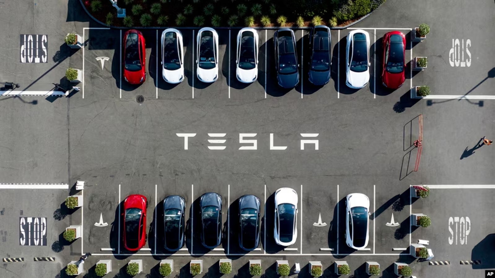Tin riêng của Reuters: Tesla hủy dự án xe giá rẻ giữa lúc xe Trung Quốc cạnh tranh ác liệt