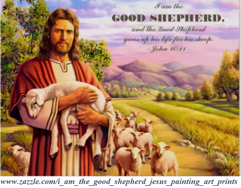Bạn Biết Gì Về Con Chiên/Cừu - Sheep? (1)