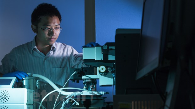 Úc tài trợ tiến sĩ người Việt phát triển công nghệ pin Mặt Trời.