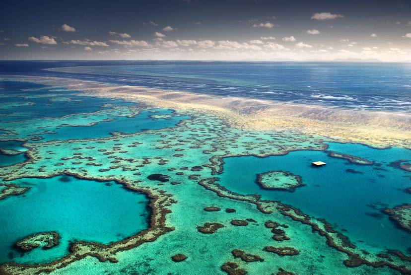 Không cần phải cách ly kiểm dịch: chuyến bay xuyên tiểu bang “đặc biệt” của  Qantas bán sạch vé trong nháy mắt.