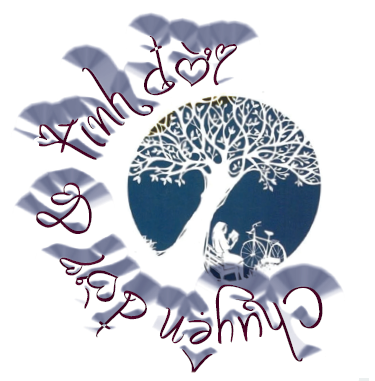 CHUYỆN ĐỜI - Bản án của người che giấu điều dối trá