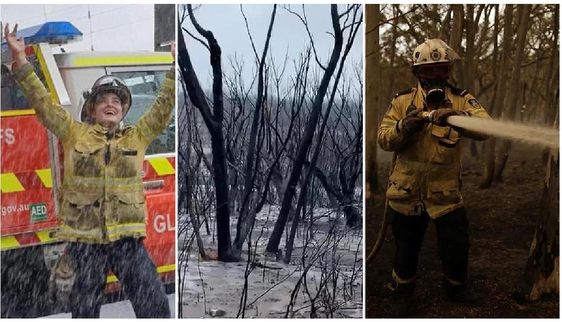 Tất cả đám cháy rừng ở NSW nay đều được dập tắt – ơn mưa