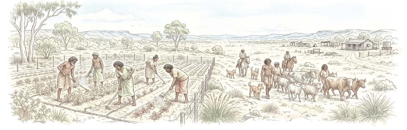 Người Aboriginal với quá trình 65,000 năm trên đất Úc