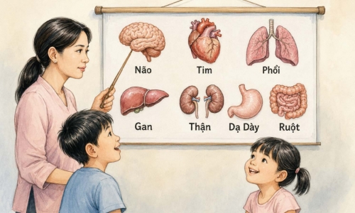 Thân thể kỳ diệu – một bài Thánh ca viết bằng xương thịt