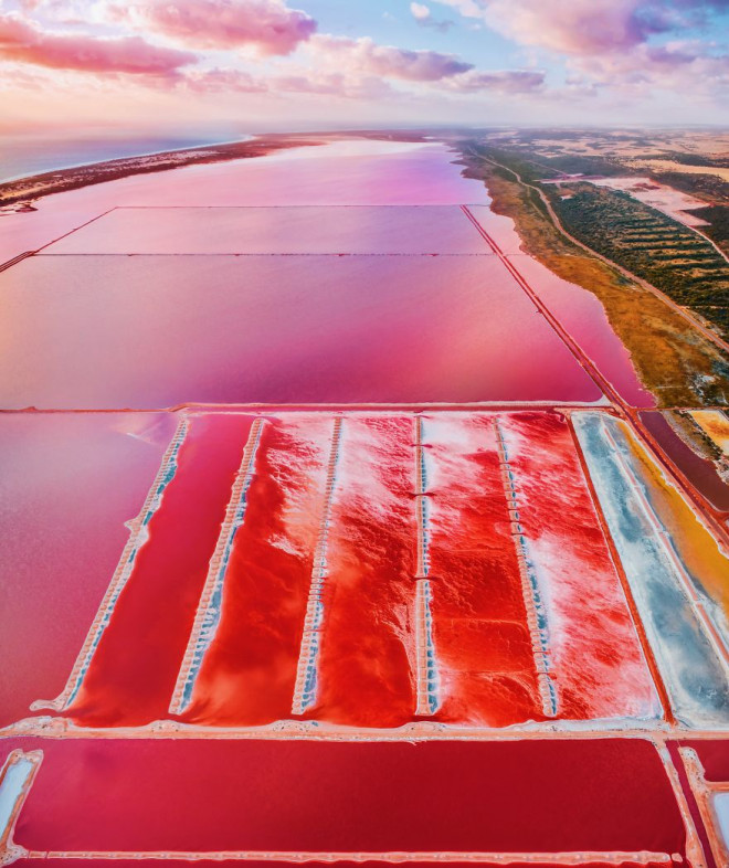 Những hình ảnh tuyệt đẹp về hồ nước màu hồng kỳ diệu ở Tây Úc