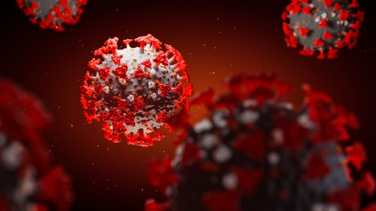 Phát hiện kháng thể có thể “vô hiệu hóa” virus Covid-19.
