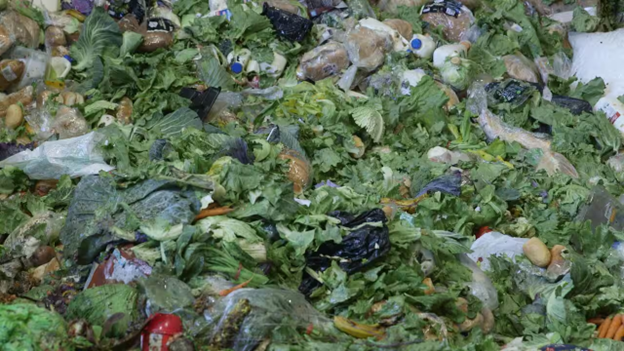 Giải pháp cho chất thải thực phẩm bị lãng phí tại Úc