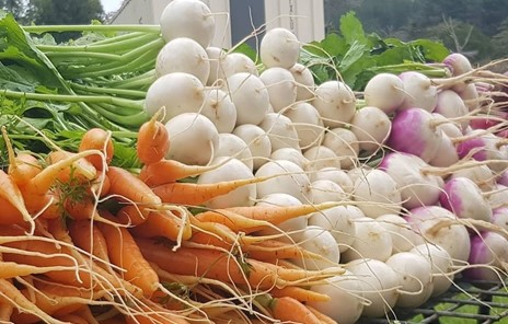 NGHỊCH LÝ CHUA CHÁT CẦN ĐƯỢC GIẢI QUYẾT: - Úc vứt bỏ thực phẩm hàng 8 triệu tấn mỗi năm nhưng hiện có nhiều gia đình ăn thiếu dinh dưỡng