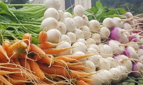 NGHỊCH LÝ CHUA CHÁT CẦN ĐƯỢC GIẢI QUYẾT: - Úc vứt bỏ thực phẩm hàng 8 triệu tấn mỗi năm nhưng hiện có nhiều gia đình ăn thiếu dinh dưỡng