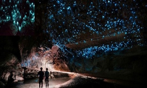 Khi hết tuần lễ ánh sáng Vivid tại Sydney nên ngắm đường hầm đom đóm Lithgow