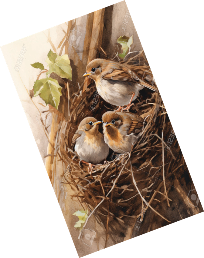 BÌNH AN - GIÁ TRỊ CỐT LÕI CỦA MỘT ĐỜI NGƯỜI VÀ PHÚC LỢI CĂN BẢN CỦA CÔNG DÂN ÚC