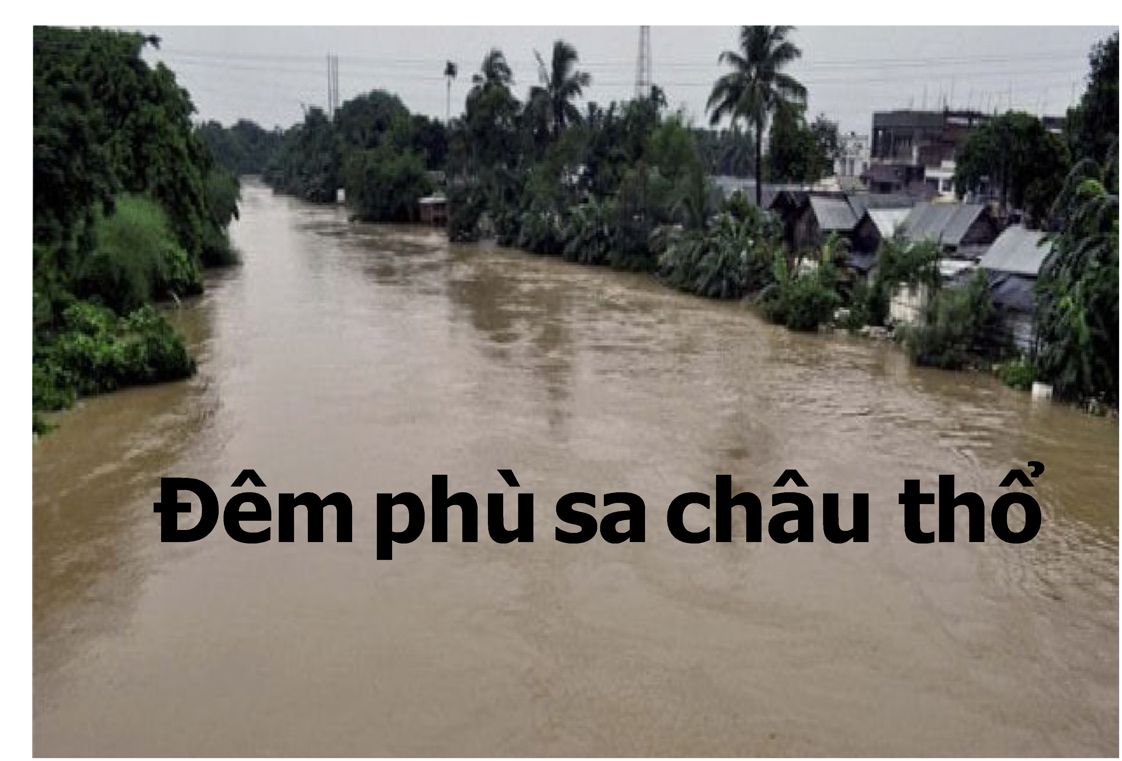 Truyện ngắn TRẦN BẢO ĐỊNH - Đêm phù sa châu thổ