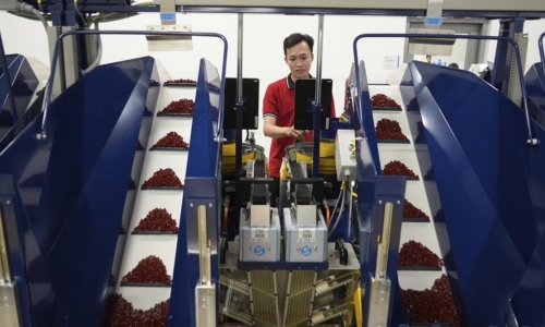 Việt Nam : Tăng trưởng kinh tế quý III ở mức trên 8,2%, nhưng tương lai bất định vì quan thuế Mỹ