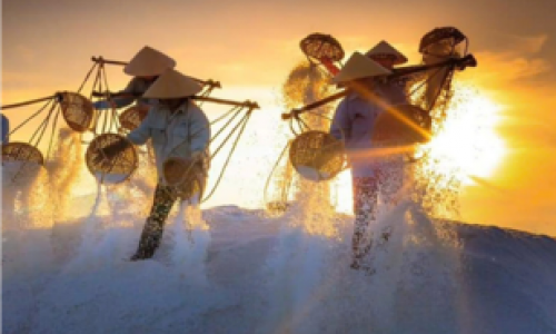 MẸ TÔI - Truyện ngắn NGUYỄN KIM PHỤNG;  NÚT ÁO CỦA MẸ - Truyện ngắn NHẤT BĂNG
