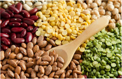 Các loại đậu (Beans) lợi ích cho sức khỏe.