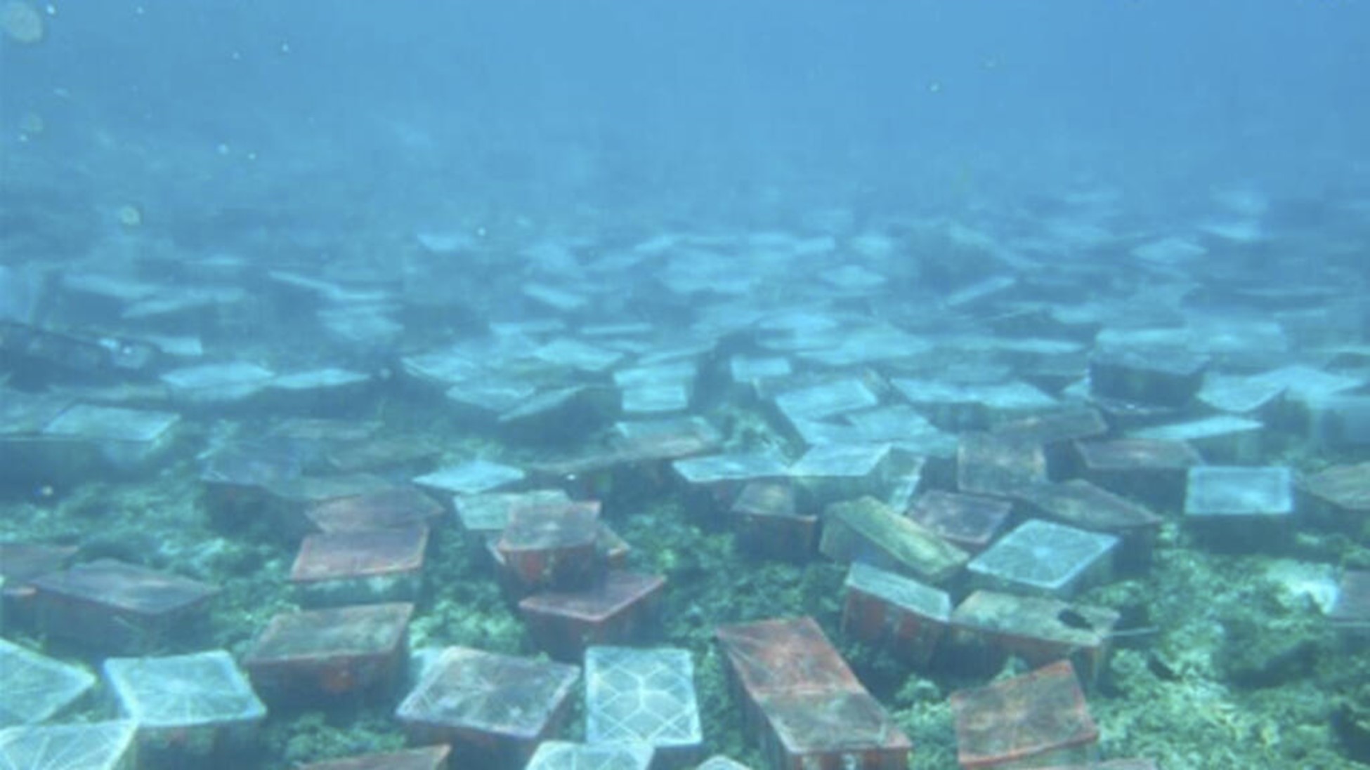 Biển Đông : Động cơ chính trị của Trung Quốc đằng sau tuyên bố bảo vệ môi trường ?