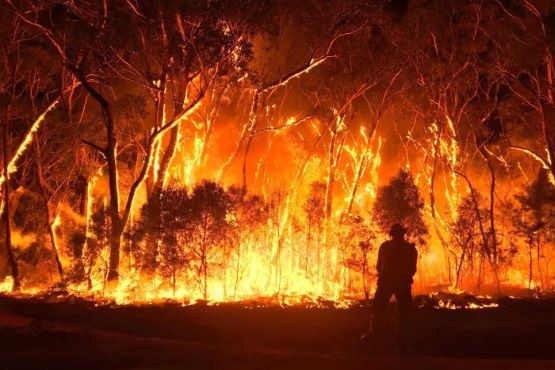 Úc Đại Lợi phát triển vệ tinh dự báo cháy rừng